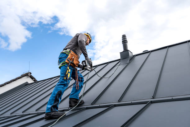 Best Roof Maintenance and Cleaning  in Bay Village, OH